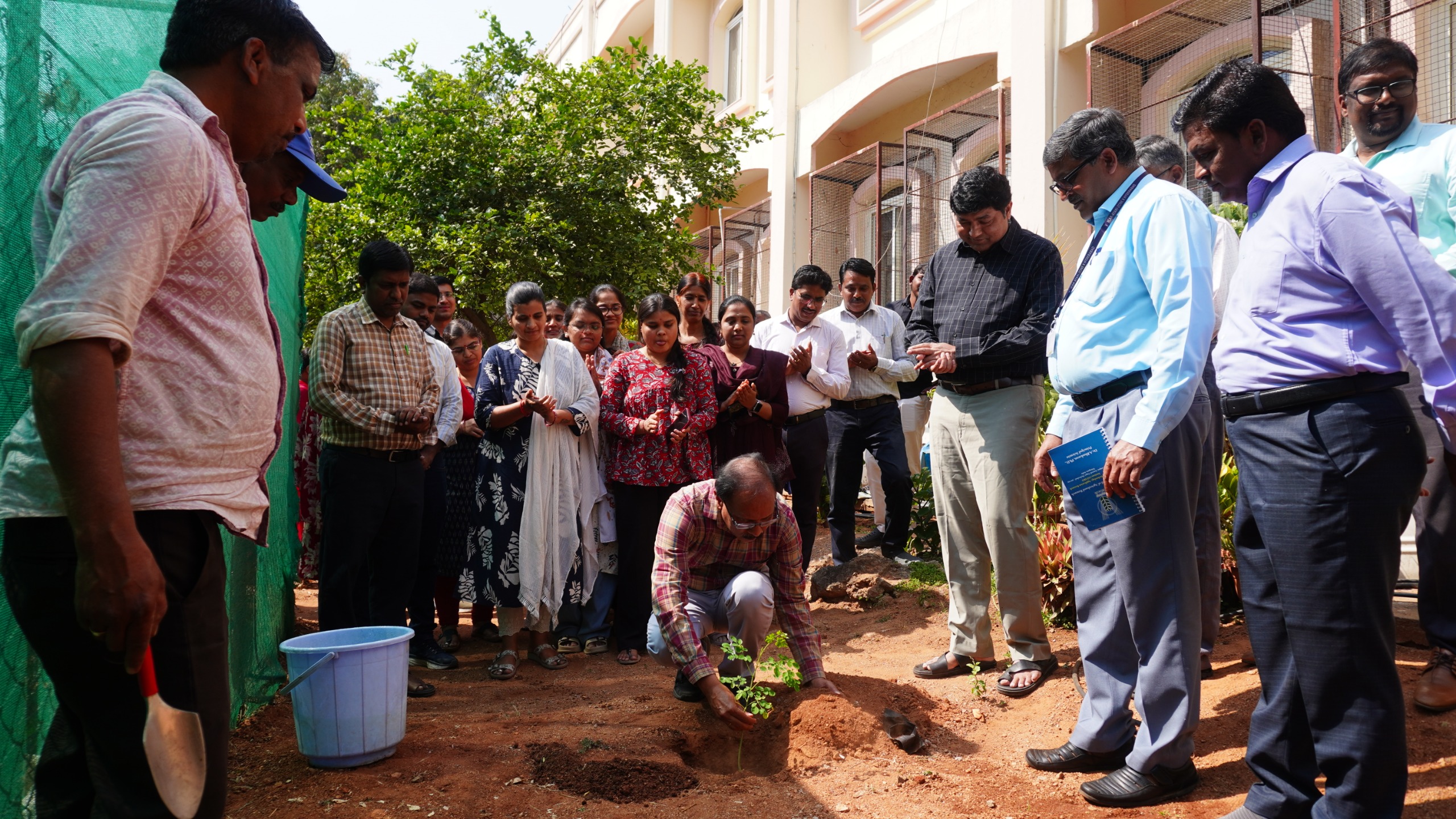 Tree Plantation
