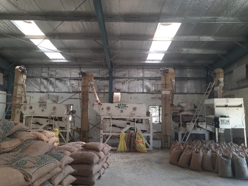 Seed Hub Palem